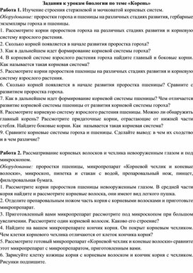 Практические задания к уроку по теме "Корень", 6-7 класс