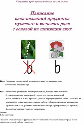 Открытый урок по русскому языку во 2 классе на тему: "Написание слов-названий предметов мужского и женского рода с основой на шипящий звук"