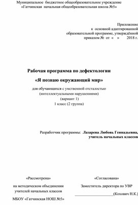 Рабочая программа по дефектологии  «Я познаю окружающий мир» для обучающихся с умственной отсталостью  (интеллектуальными нарушениями)  (вариант 1) 1 класс (2 группа)