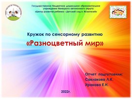 Кружковая деятельность "Разноцветный мир" группа "Затейники"