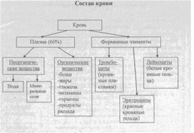 Материал к урокам  биологии