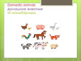 Domestic animals> Домашние животные> Үй жаныбарлары