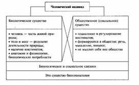 Обложка для материала Обществознание_в_схемах_и_таблицах_схема_55