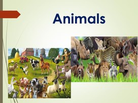 Обложка для материала Wild and domestic animals.