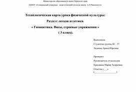 Технологическая карта урока физической культуры. Темы "Висы". (3 класс)