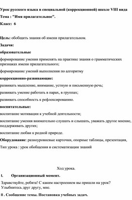 Урок русского языка "Имя прилагательное"
