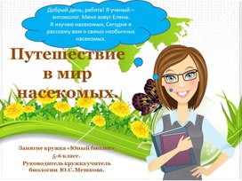 Презентация к занятию  кружка "Юный биолог" по теме "Путешествия в мир насекомых".