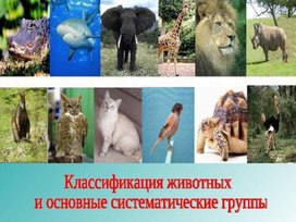 Обложка для материала Презентация к уроку биологии. 7 класс. Тема: " Классификация животных"