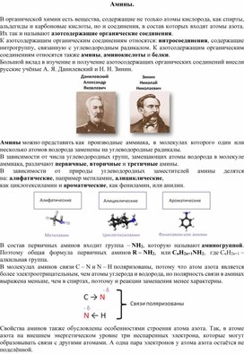 Конспект занятия по теме "Амины"