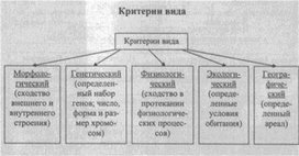 Материал к урокам  биологии