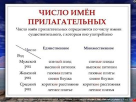 Обложка для материала число имен прилагательных