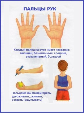 Обложка для материала зож