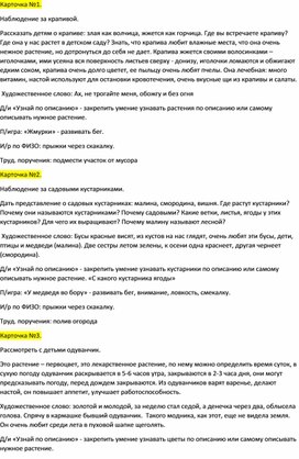 Обложка для материала Картотека прогулок