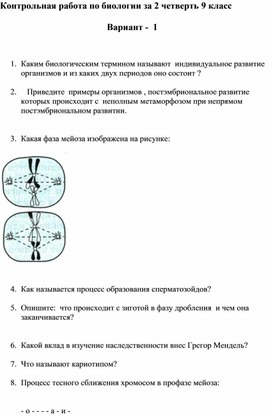 Итоговая контрольная работа за 2 полугодие.9 класс