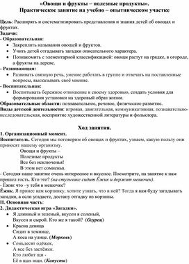 Овощи и фрукты – полезные продукты». Практическое занятие на учебно – опытническом участке