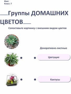Обложка для материала Рабочие листы по теме "Цветы в доме"