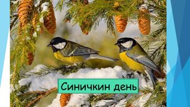 Обложка для материала Праздник для детей с ОВЗ. "Синичкин день"