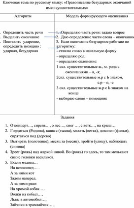 Ключевая тема по русскому языку: «Правописание безударных окончаний имен существительных»