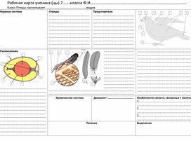 Рабочая карта "Класс Птицы, особенности связанные с полетом"