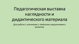 Презентация "Педагогическая выставка наглядности для работы с учащимися с ТМНР