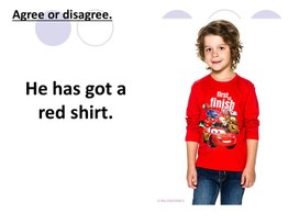 Презентация " Agree or Disagree" по теме "Clothes"