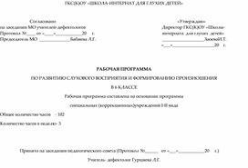 Обложка для материала Рабочая программа по РСВ и ФП ( Для 6-ого класса, программа для глухих)