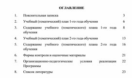 Рабочая программа кружка "Мир компьютерной графики"