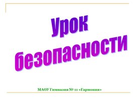 Классный час "Урок безопасности"