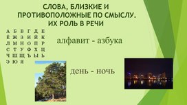 Разработка урока русского языка "Синонимы-антонимы "