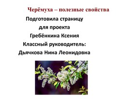 Черёмуха - полезные свойства