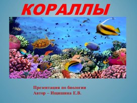 Презентация к уроку биологии 7 класс "Кораллы"