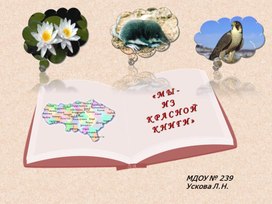 Обложка для материала « М Ы -И З  К Р А С Н О Й   К Н И Г И »