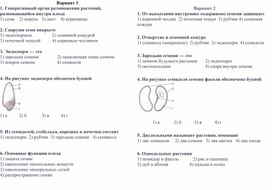 Обложка для материала Проверочная работа по теме "Семена", 6 класс