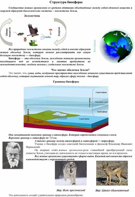 Структура биосферы