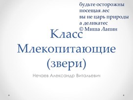 Класс Млекопитающие