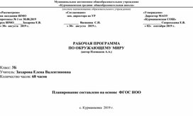 Рабочая программа по окружающему миру 3 класс "Школа России"