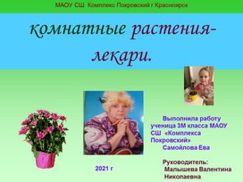 Презентация. Тема:"Комнатные растения -лекари многих болезней".