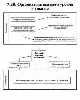 Обложка для материала материал по психофизиологии