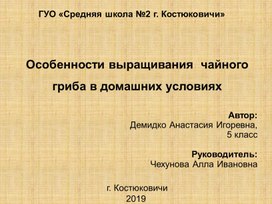 Презентация к исследовательской работе "Особенности выращивания чайного гриба"