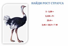 Обложка для материала Карточка по математике "Нвйди рост страуса!"