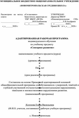 Адаптированная рабочая программа Сенсорное развитие