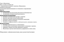 Обложка для материала Коррекционно-развивающее занятие "Мышление"