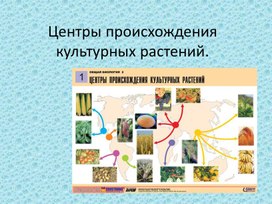 Обложка для материала Происхождения культурных растений
