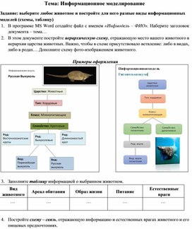 Обложка для материала Практическая работа по теме "Информационное моделирование"