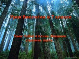 Обложка для материала Методический материал к учебнику 6 класса