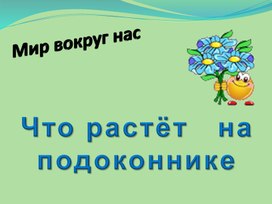 Обложка для материала Что растёт на подоконнике.