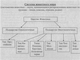 Материал к урокам  биологии