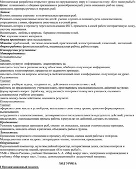 Методическая разработка открытого урока по окружающему миру в 1 классе на тему: «Кто такие рыбы?»