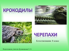 Природоведение 8 класс. Спасибо за внимание крокодил. Спасибо за внимание для презентации черепаха. Спасибо за внимание для презентации с крокодилом. Конец презентации с крокодилом.