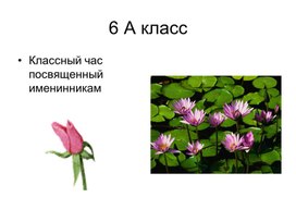 Классный час, посвящённый Дню именинника.